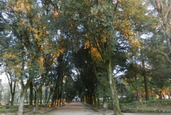 Diario dalla pensione: I miei sogni notturni.