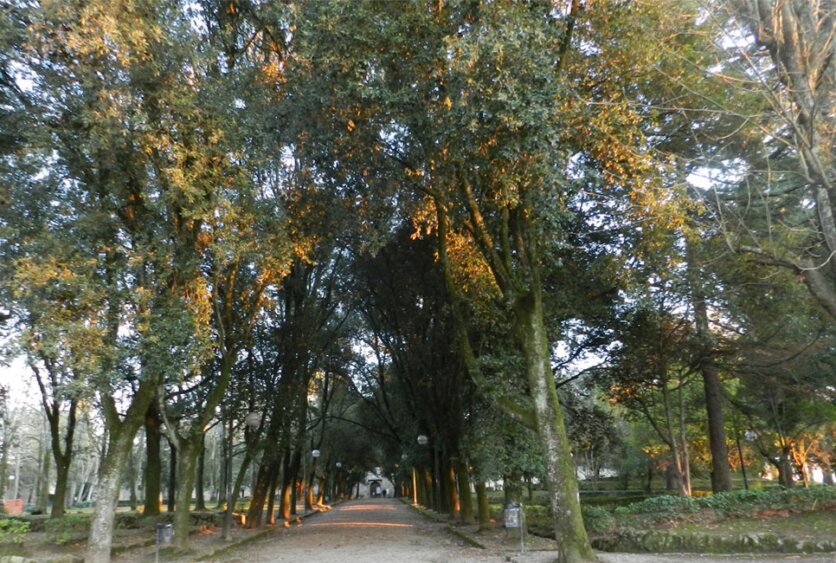 Diario dalla pensione: I miei sogni notturni.