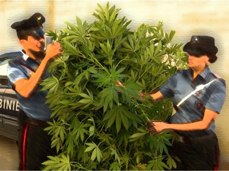 Cannabis, è ora di piantarla.