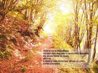 Come si scrive un libro di successo?