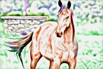 La lezione del cavallo