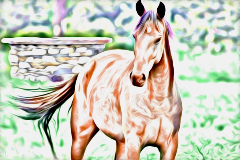 La lezione del cavallo