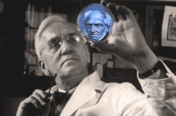 Verità e contestazioni