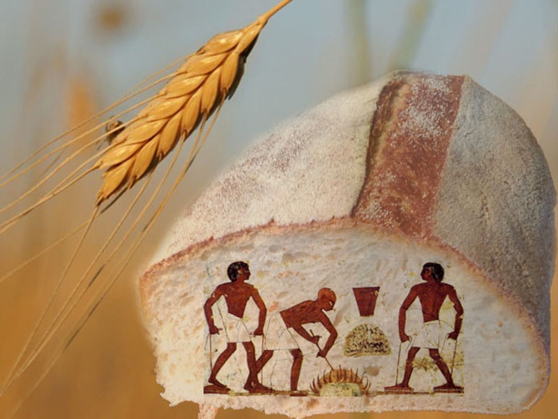 Storie Culinarie: Il pane al farro