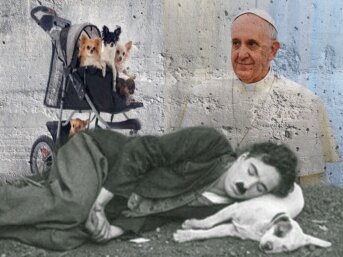 Francesco e la solidarietà per il vicino di casa
