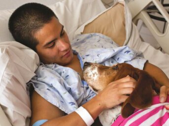 Pet Therapy