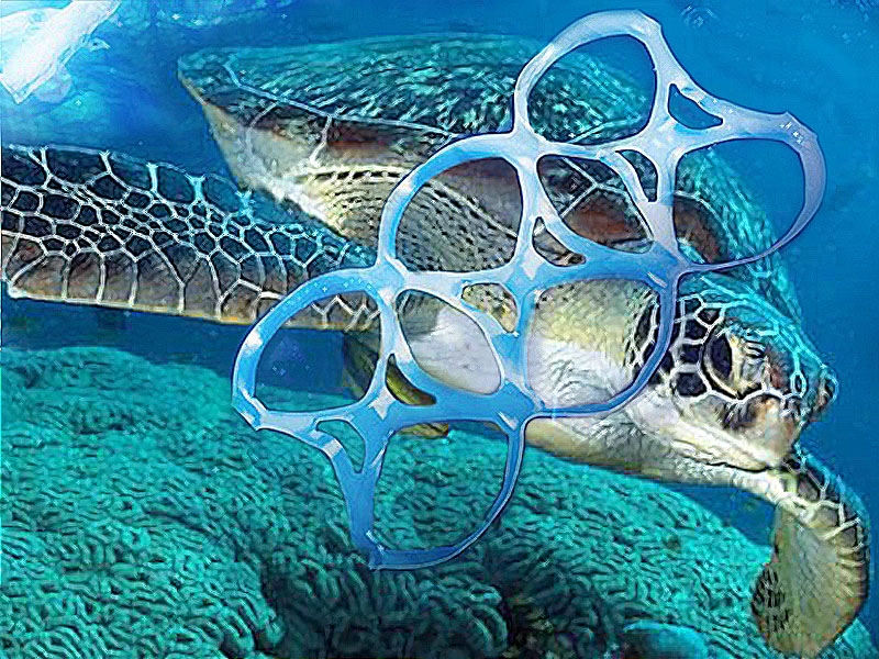 Le tartarughe e gli anelli in plastica