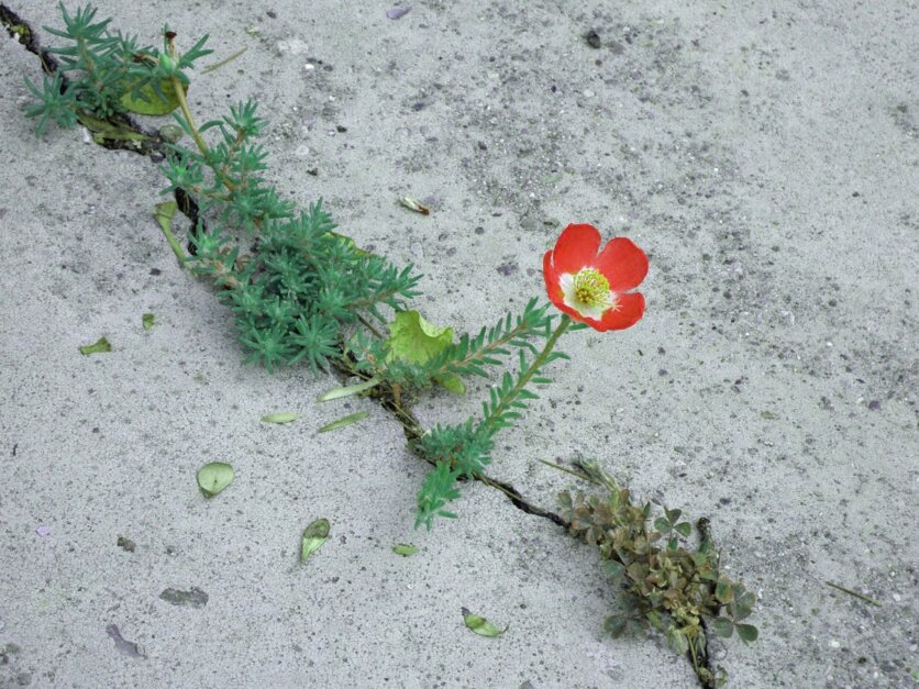 Imperfections: what if we stopped hiding them?