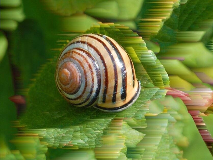 E se rallentassimo? Piccole rivoluzioni quotidiane