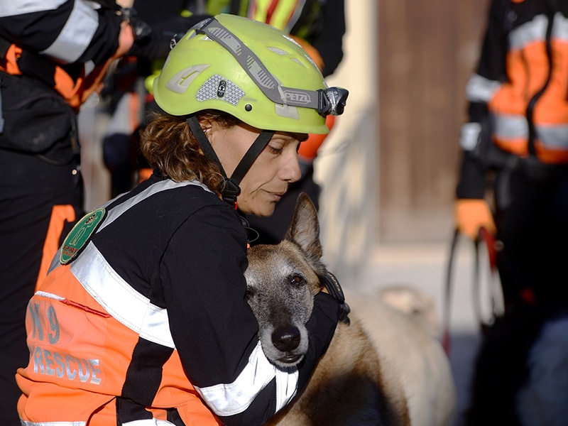 L’aiuto che regalano i cani da soccorso e i loro conduttori