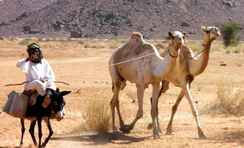 Sudan Bayuda Desert