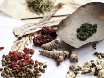 Erboristeria, gli albori della conoscenza.