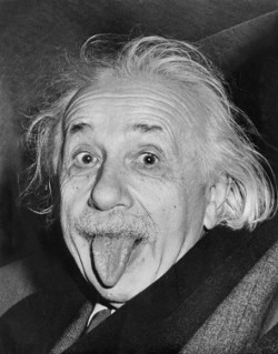 Foto Albert Einstein: la foto, l'aquila, il passerotto e la luce #2