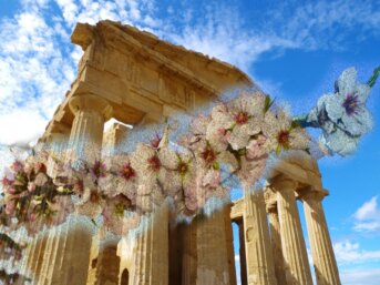 La Festa del mandorlo in fiore.