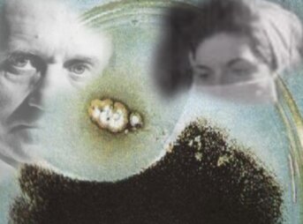 Mary Hunt e la scoperta della penicillina