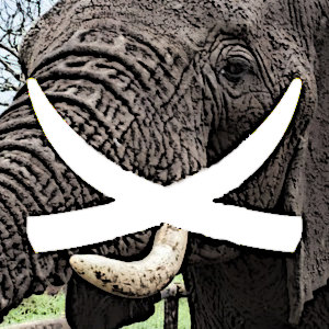 Per ogni oggetto di avorio muore un elefante