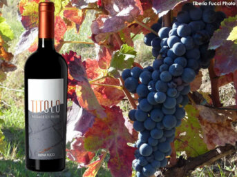 TITOLO, un vino in sintonia con la natura