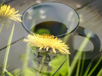 Il caffè di tarassaco e le sue proprietà