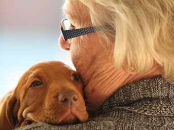 il cane nelle case di riposo