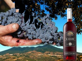 Il Rogito delle Cantine del Notaio: quando l'Aglianico del Vulture diventa un elegante rosato