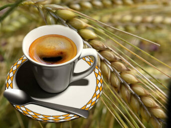 caffè d'orzo, caffe d orzo