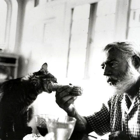 Hemingway e i gatti