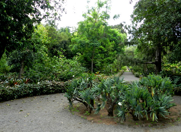Giardino Botanico vista