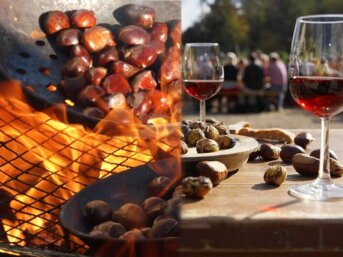 Autunno: Castagne, Vino e Törggelen