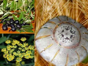 Pagnotta Integrale al Finocchio e Olive