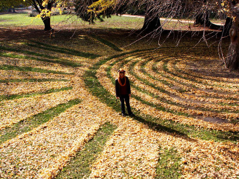 Joanna Hedrick e Fallen Ginkgo Art, disegnare con le foglie