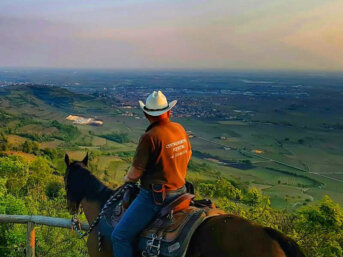 Quando un cavallo conduce dalle stelle alle stalle