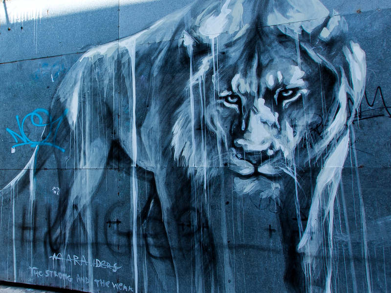 Faith47 la street art dal Sud Africa