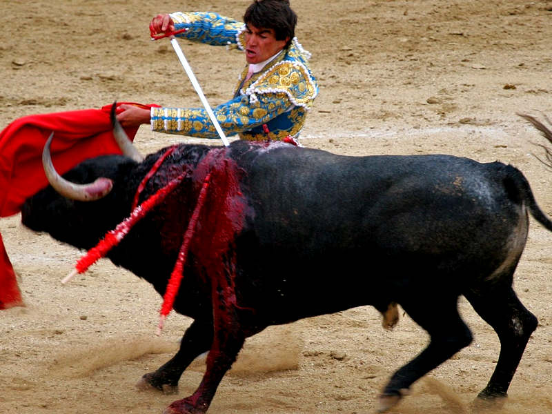 Tradizioni folcloristiche in Spagna che coinvolgono gli animali