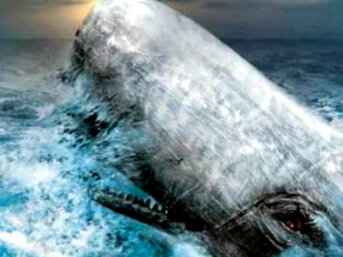 La caccia al capodoglio all’epoca di Melville