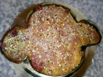 Colomba di Pasqua rustica integrale veloce