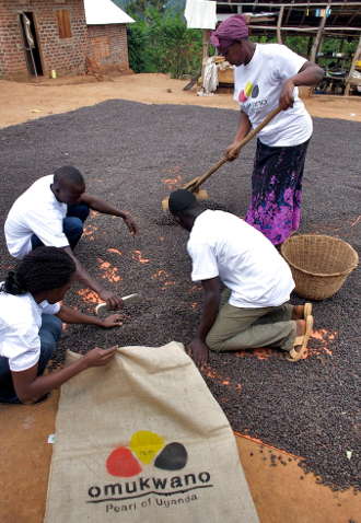 Lavorazione per Omukwano di Caffè River in Uganda
