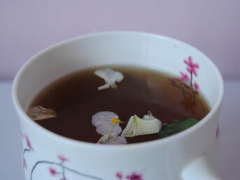 Tisane rilassanti: quattro infusi da provare