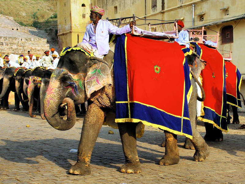 I Maltrattamenti degli Elefanti in India