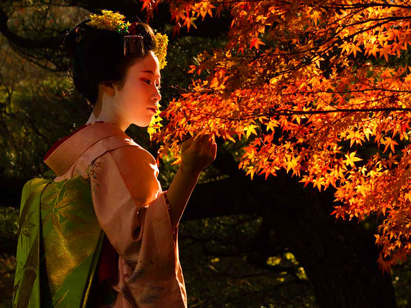 La geisha, la storia del mondo fluttuante