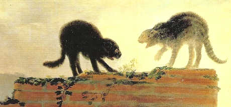 Gatti nell’arte: di Francisco de Goya, Due gatti che litigano