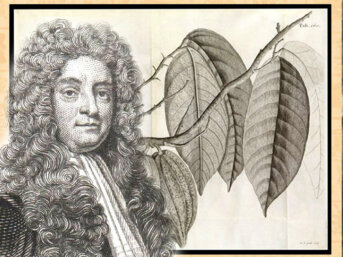 Hans Sloane, il medico e scienziato che inventò la cioccolata calda col latte