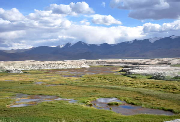 reportage Ladakh e Himachal Pradesh: lago salato TZO KAR