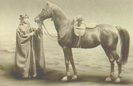 Lady Anne Blunt e un cavallo razza araba