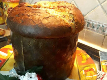 Panettone fatto in casa al cioccolato ricetta semplice
