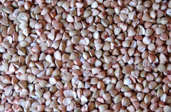 Chicchi di grano saraceno
