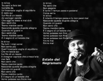 Estate dei Negramaro testo e video CaffèBook