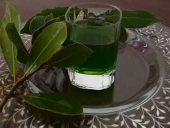 Liquore all'alloro fresco fatto in casa
