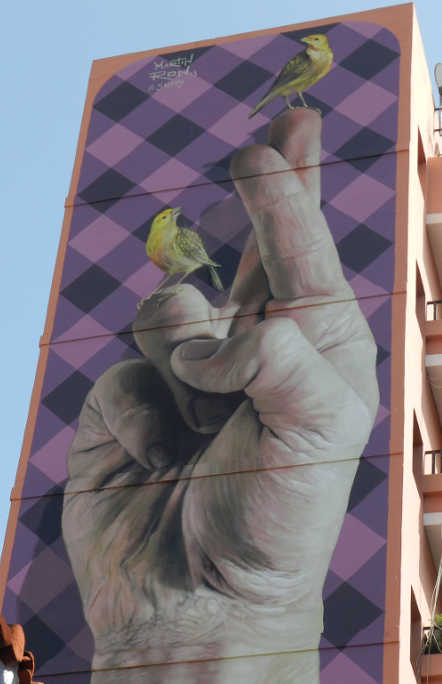 Hay canarios … y canarios di Martín Ron al Puerto Street Art 