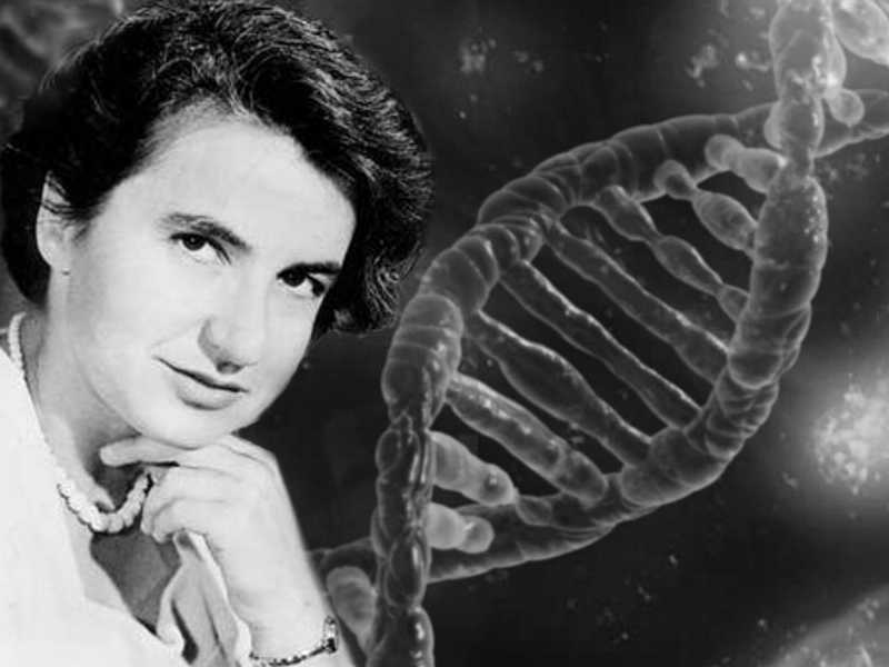 Rosalind Franklin, la doppia elica del DNA e l'effetto Matilda