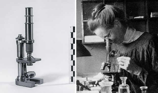 Nettie Stevens al microscopio